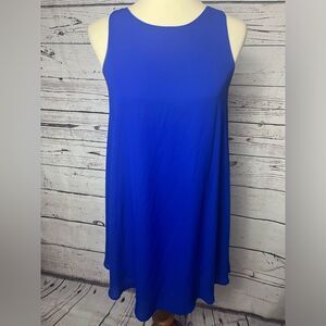 Lulu’s Royal Blue Dress